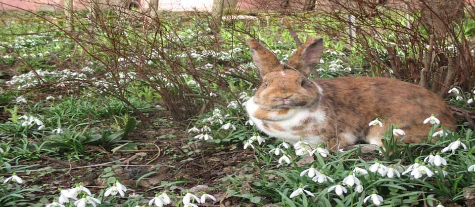 Tiere erleben